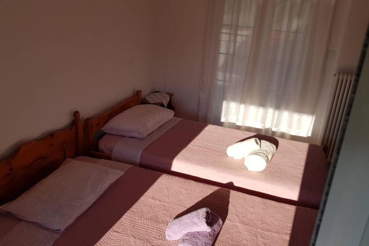 Koulas House In Diava 卡兰巴卡 外观 照片