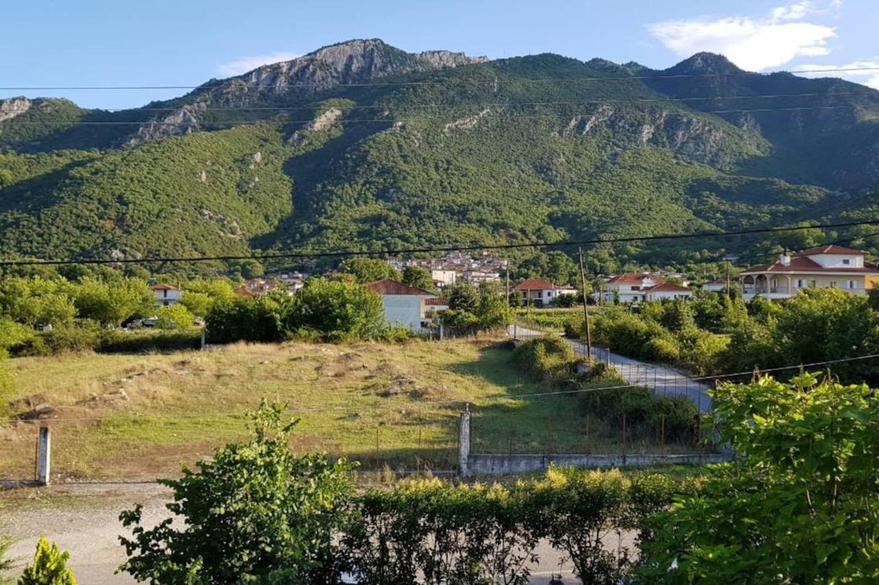 Koulas House In Diava 卡兰巴卡 外观 照片